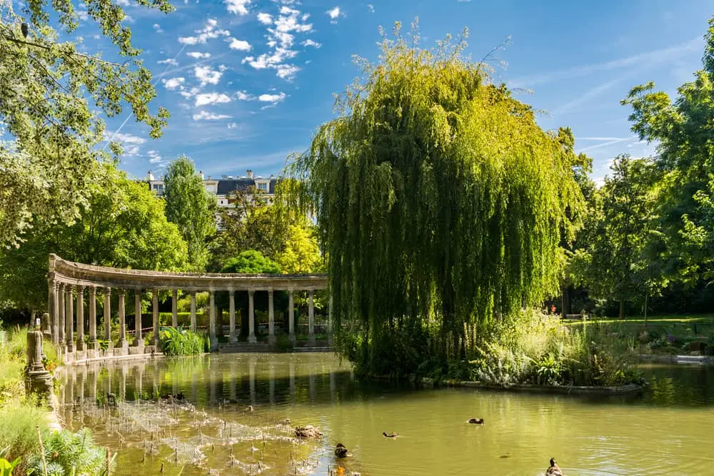 Vue d'un saule pleureur au centre d'un petit étang dans le Parc Monceau.