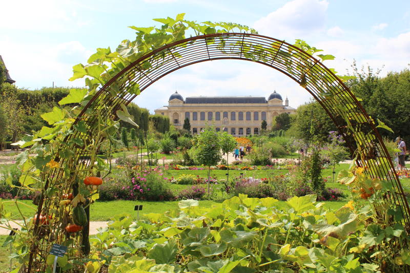 Vue à travers l'arcade du Jardin des Plantes, avec des plantes et un bâtiment en arrière-plan.