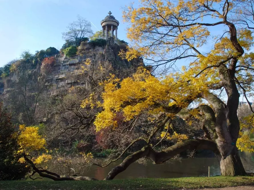 Un magnifique arbre au bord du lac du Parc des Buttes-Chaumont avec une colline et un pavillon en arrière-plan.