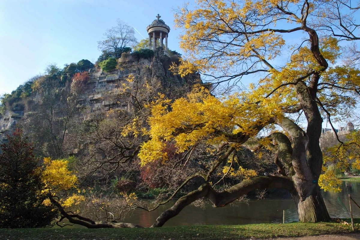 Un magnifique arbre au bord du lac du Parc des Buttes-Chaumont avec une colline et un pavillon en arrière-plan.
